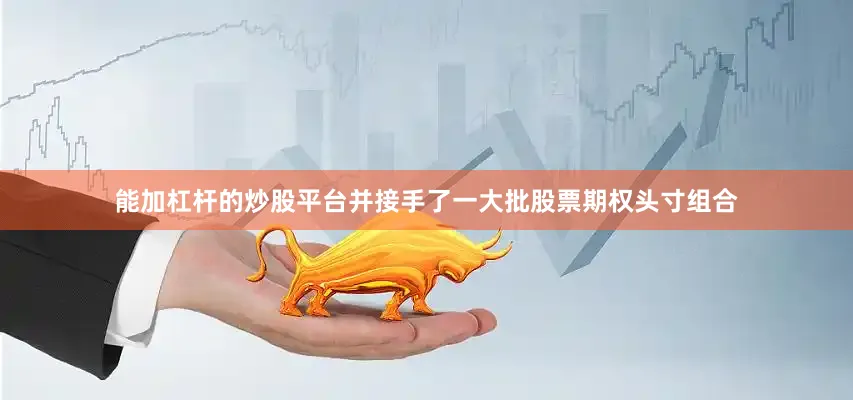 能加杠杆的炒股平台并接手了一大批股票期权头寸组合
