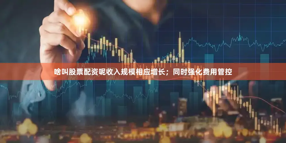 啥叫股票配资呢收入规模相应增长；同时强化费用管控