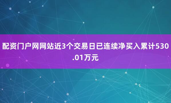 配资门户网网站近3个交易日已连续净买入累计530.01万元